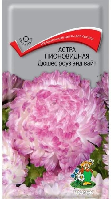 Астра (однолетняя) пионовидная Дюшес роуз энд вайт (ЦВ) 0,3гр.