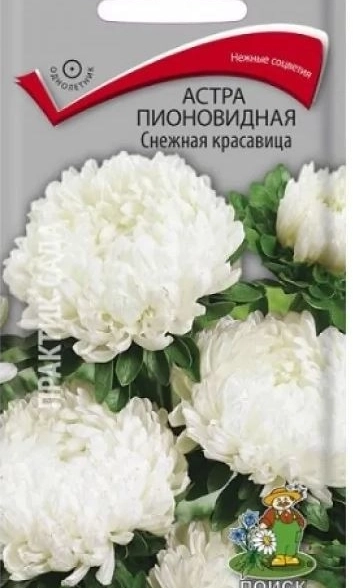 Астра (однолетняя) пионовидная Снежная красавица (ЦВ) 0,3гр.