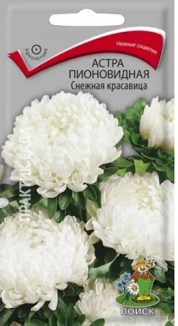 Астра (однолетняя) пионовидная Снежная красавица (ЦВ) 0,3гр.