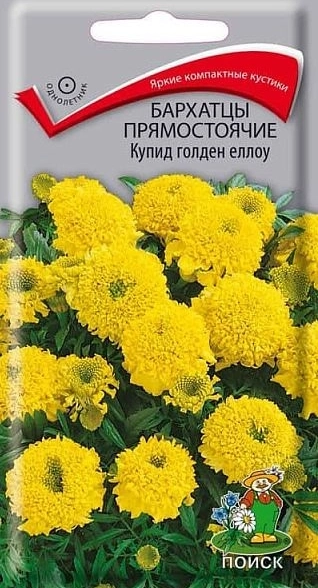 Бархатцы прямостоячие (Тагетес прямостоячий) Купид голден еллоу ( ЦВ) ("1) 0,2гр.