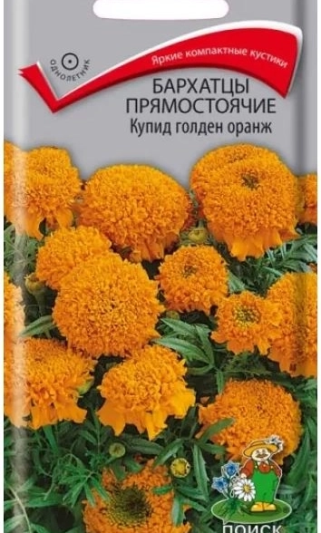 Бархатцы прямостоячие (Тагетес прямостоячий) Купид голден оранж ( ЦВ) ("1) 0,2гр.