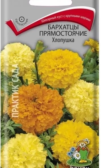 Бархатцы прямостоячие (Тагетес прямостоячий) Хлопушка ( ЦВ) ("1) 0,4гр.