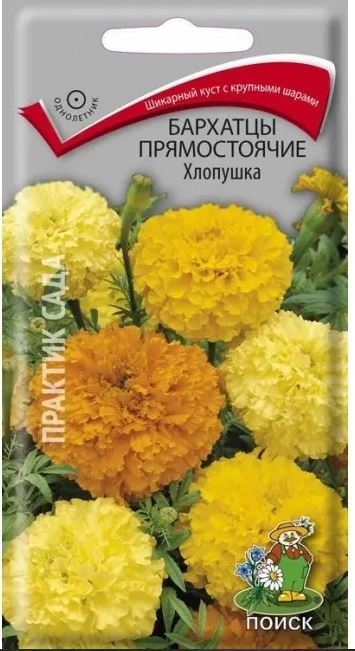 Бархатцы прямостоячие (Тагетес прямостоячий) Хлопушка ( ЦВ) ("1) 0,4гр.