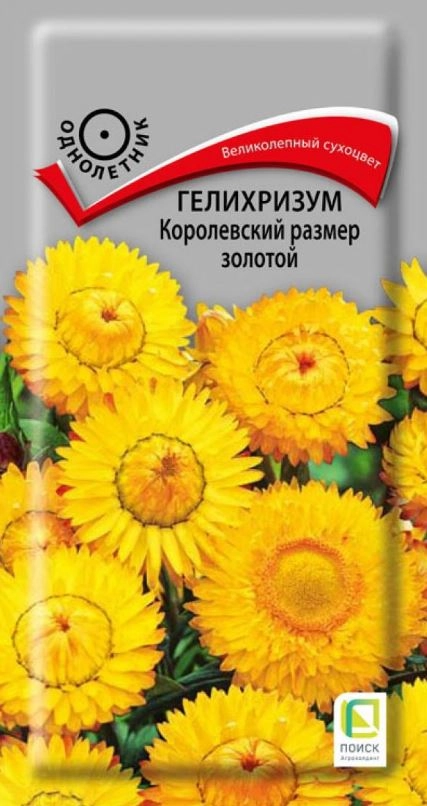 Гелихризум Королевский размер золотой (ЦВ) ("1) 0,1гр.