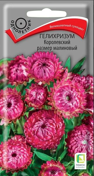 Гелихризум Королевский размер малиновый (ЦВ) ("1) 0,1гр.