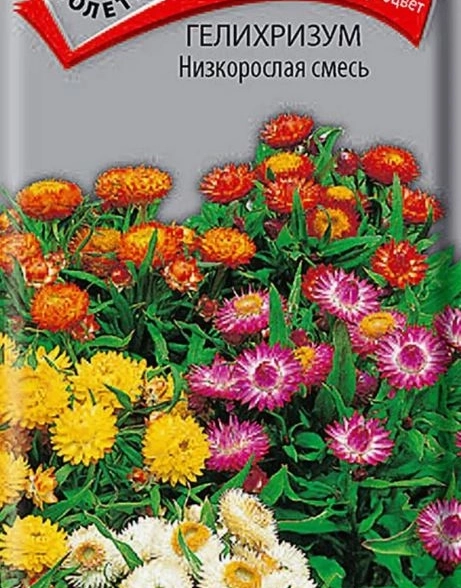 Гелихризум Низкорослая смесь (ЦВ) ("1) 0,1гр.