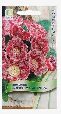 Глоксиния Импресс Красные чернила (ЦВ) ("К) 5шт.