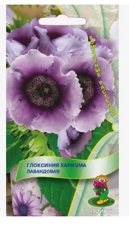 Глоксиния Харизма Лавандовая (ЦВ) ("К) 5шт.