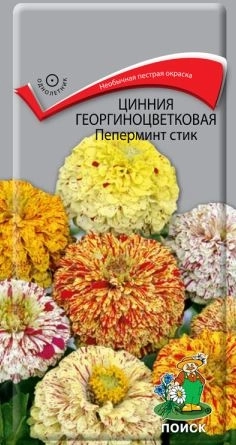 Цинния георгиноцветковая Пеперминт стик (ЦВ) ("1) 0,4гр.