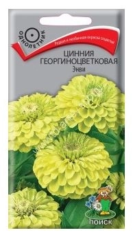 Цинния георгиноцветковая Энви (ЦВ) ("1) 0,4гр.