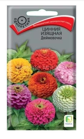 Цинния изящная Дюймовочка (ЦВ) ("1) 0,4гр.