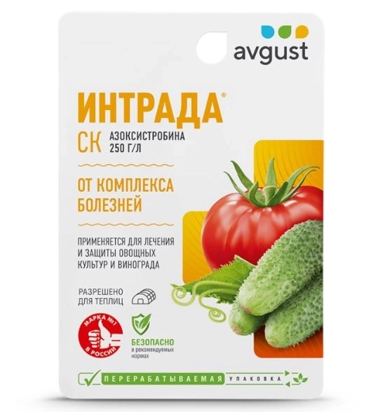 Интрада 10мл N80