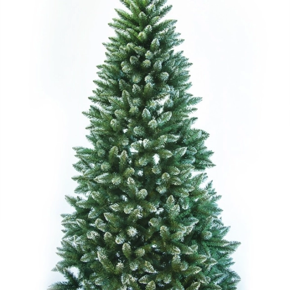 Ель Лидия 100 иней