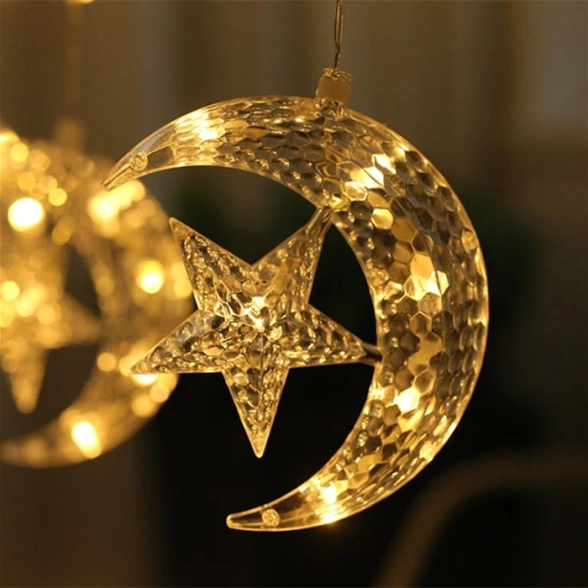 Гирлянда LED Месяц+Звезда 3м*2м Белая 7783