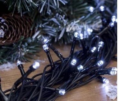 Гирлянда уличная светодиод.10м белый 0506