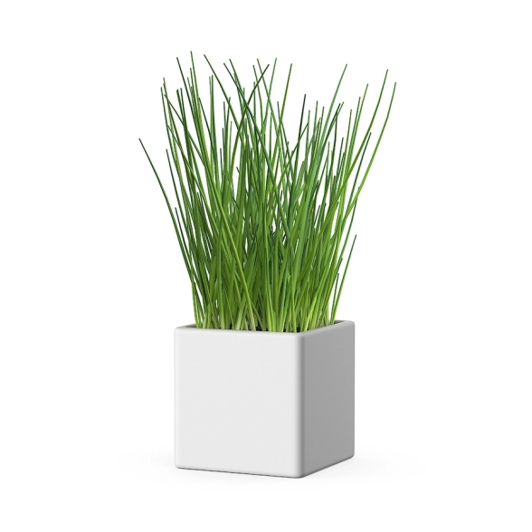 Исскуственное растение Осока 9 белый