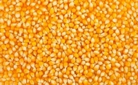 Кукуруза 1кг