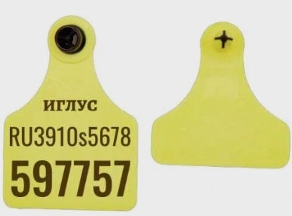 Бирка ушная ZD-Flex