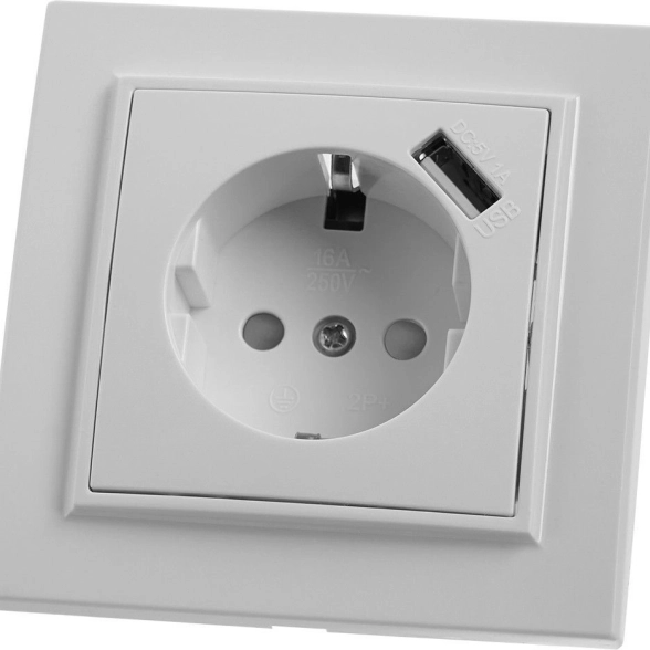 Розетка Эрна 1м с/з PST16-9011-01 белый з/шт+USB