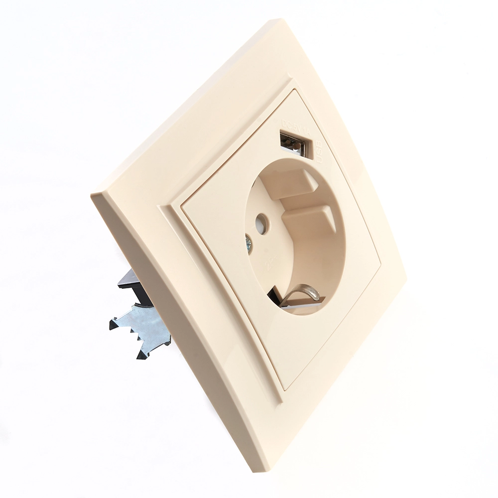 Розетка Эрна 1м с/з PST16-9011-02 сл.кость з/шт+USB-image-1