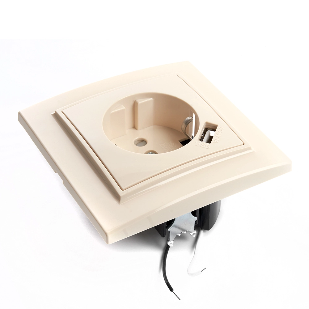 Розетка Эрна 1м с/з PST16-9011-02 сл.кость з/шт+USB-image-2