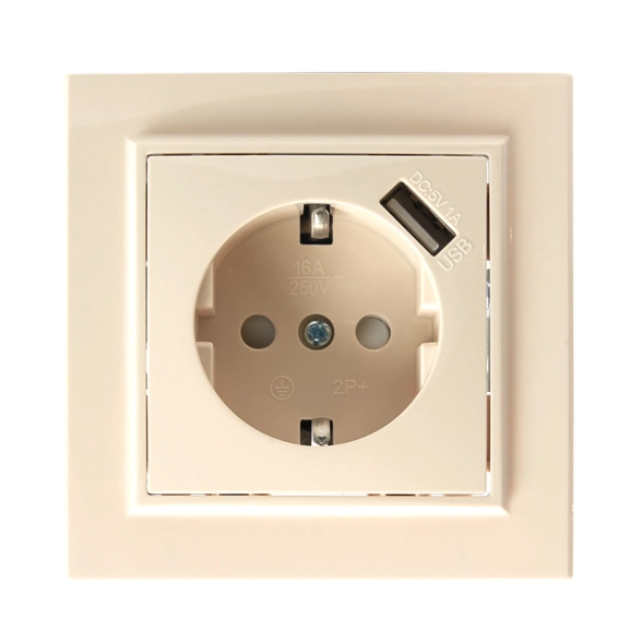 Розетка Эрна 1м с/з PST16-9011-02 сл.кость з/шт+USB