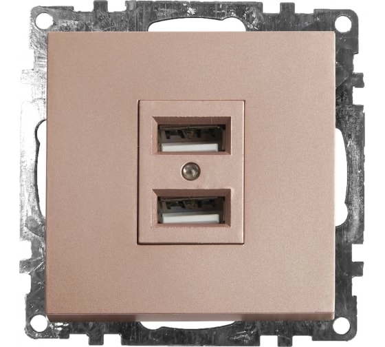 Розетка 2-я USB мех. 2.1А Катрин GLS10-7115-02 шампань
