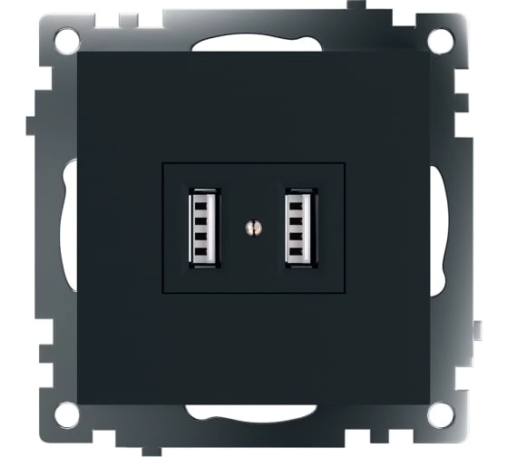 Розетка 2-я USB мех. 2.1А Катрин GLS10-7115-05 черный