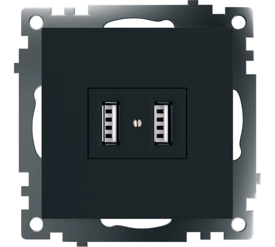 Розетка 2-я USB мех. 2.1А Катрин GLS10-7115-05 черный