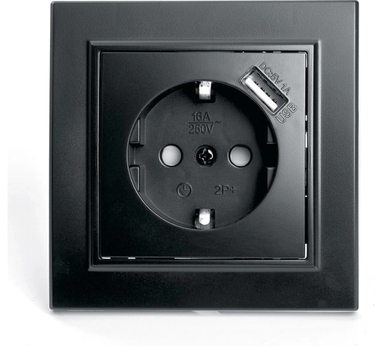 Розетка 1-я с/з/USB Эрна PST16-9011-03 черный