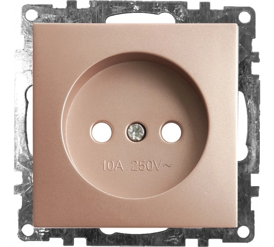 Розетка Катрин 1м GLS10-7109-02 б/з з/шт мех.шампань