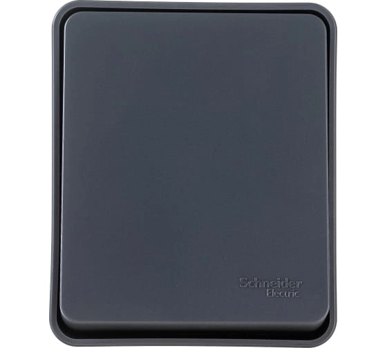 Блок ATLASDESIGN Profi54 роз.с/з с/шт+выкл 1кл 10А антрацит