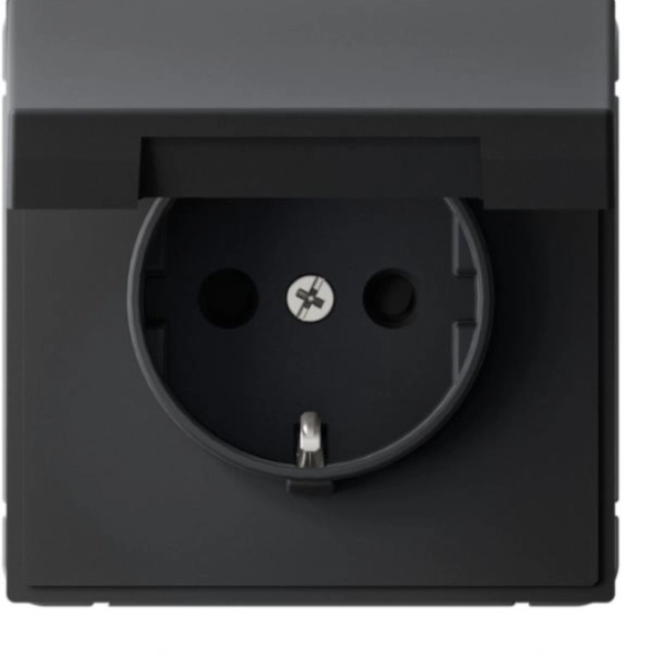 Розетка ArtGallery 1-я с/з з/шт с/кр 16А IP20 карбон