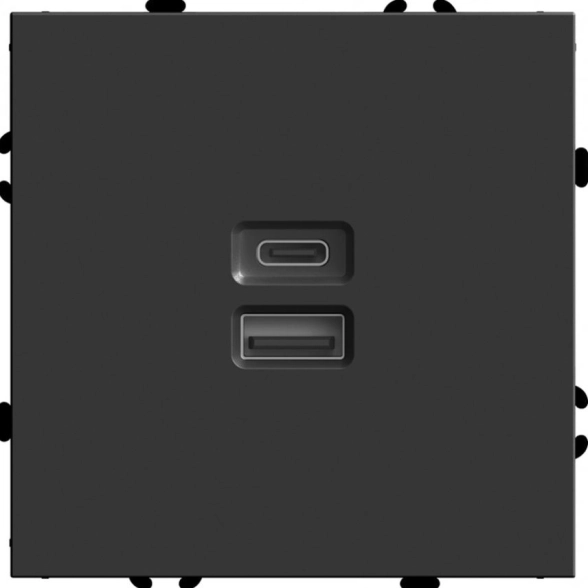 Розетка Эмили 2м USB+Type C RST10-5115-05 черн.уголь
