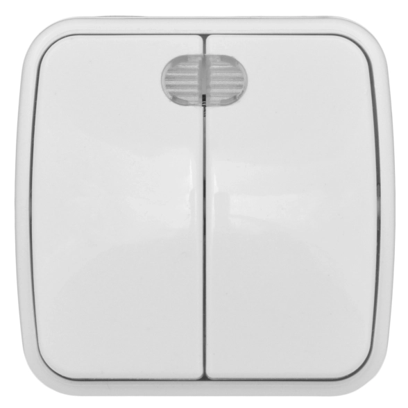 Выключатель EKF Basic ОП бел 2кл 10А с/инд