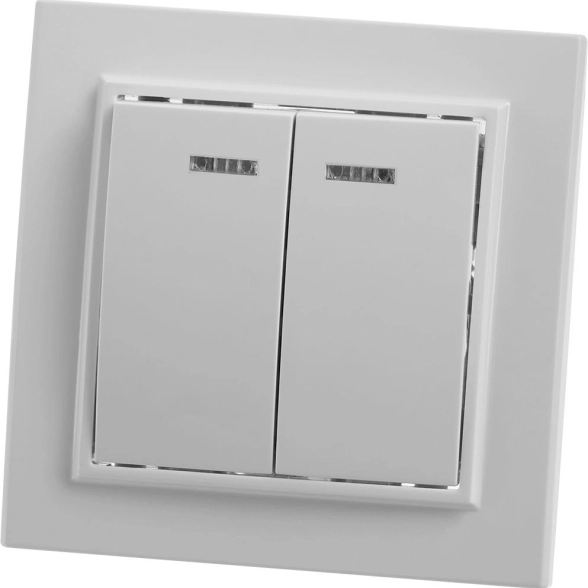 Выключатель Эрна 2кл PSW10-9002-01 белый инд.