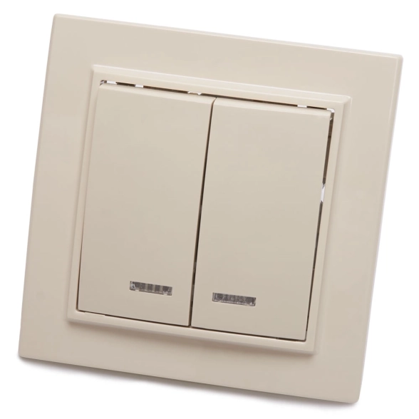 Выключатель Эрна 2кл PSW10-9002-02 сл.кость инд.
