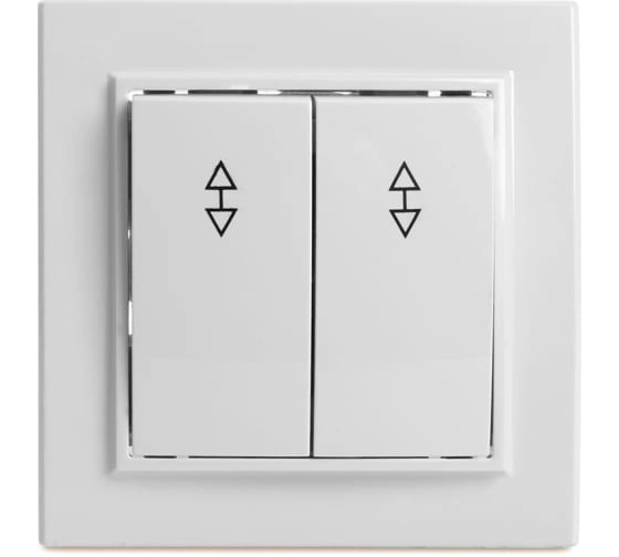 переключатель 2-кл Эрна PSW10-9005-01 белый