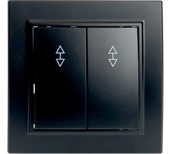 переключатель 2-кл Эрна PSW10-9008-03 черный