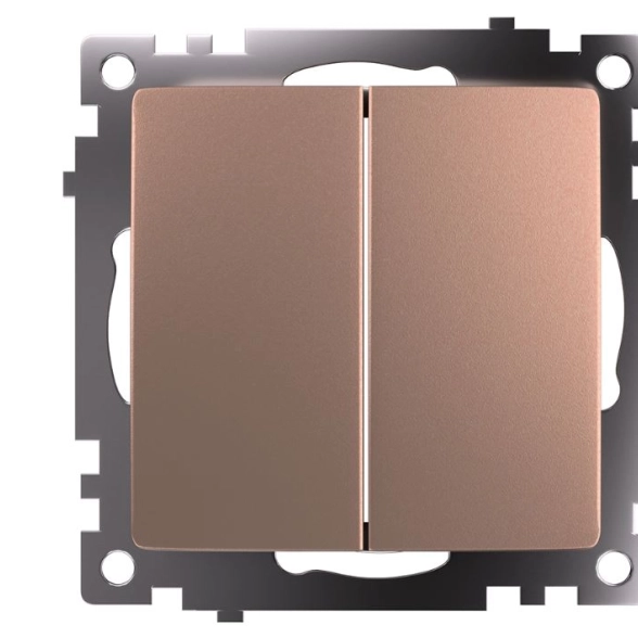 Переключатель Катрин 2кл GLS10-7107-02 10А мех.шампань