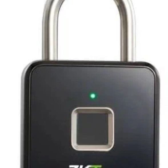 Умный висячий замок ZKTeco paldock