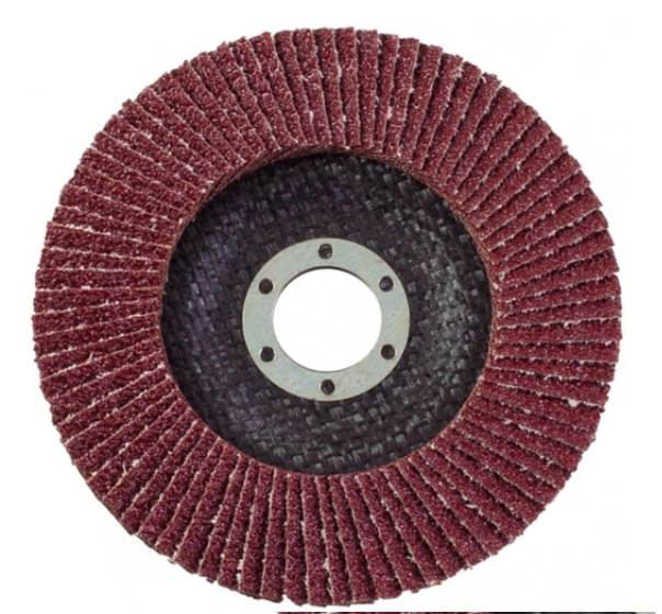 Круг лепестковый Toolberg 150Х22мм Р60