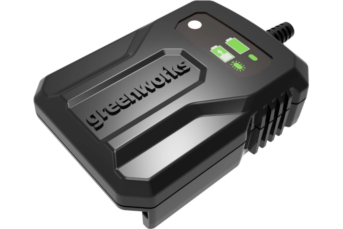 Зарядное устройство GreenWorks G40UCM2M 40В 2А