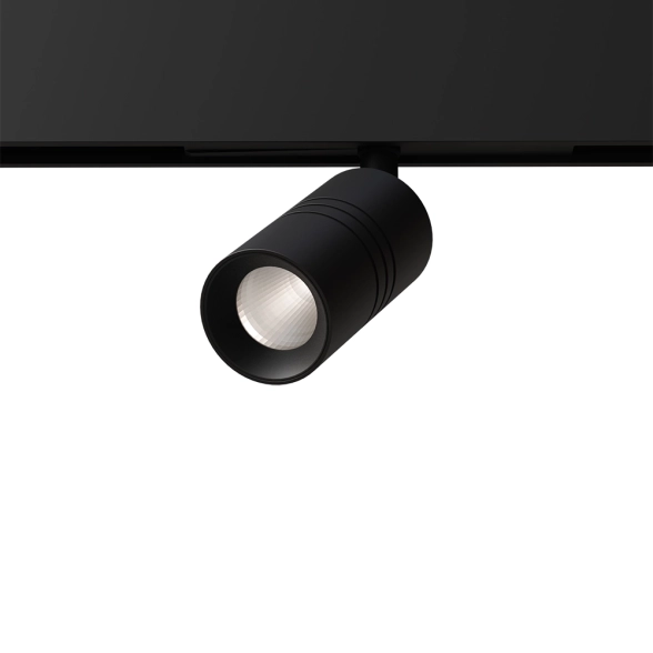 Светильник ArteLamp A5740PL-1BK EXPERT
