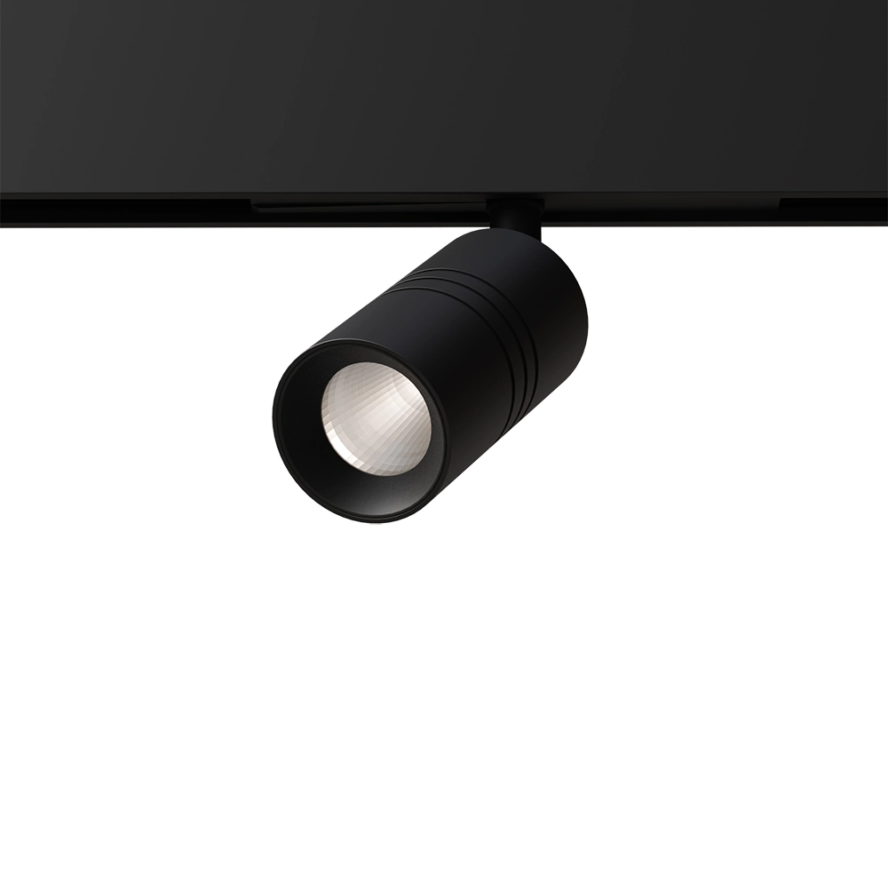 Светильник ArteLamp A5740PL-1BK EXPERT