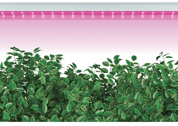 Светильник для растений AL7000 12W IP40-image-2