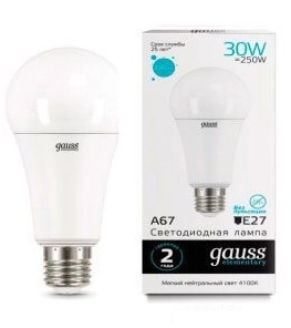 Лампа Gauss LED Elementary A67 30W E27 4100K
