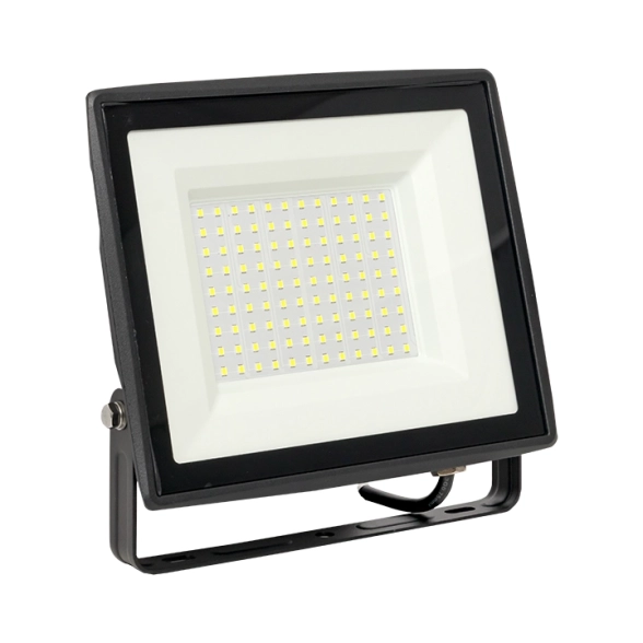 Прожектор EKF Basic СДО-3006 100Вт 6500К IP65