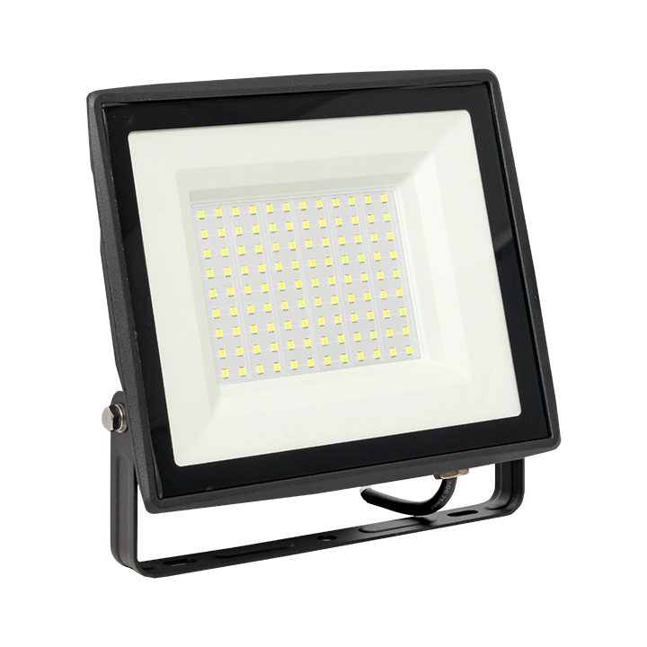 Прожектор EKF Basic СДО-3006 100Вт 6500К IP65
