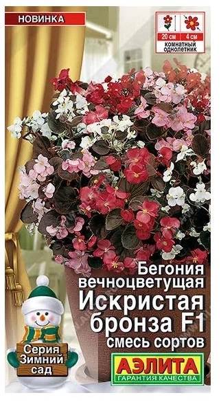 КОМ Бегония Искристая бронза Аэлита Цх10